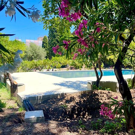 Villa Tana Pacenzia تْشيفالو المظهر الخارجي الصورة