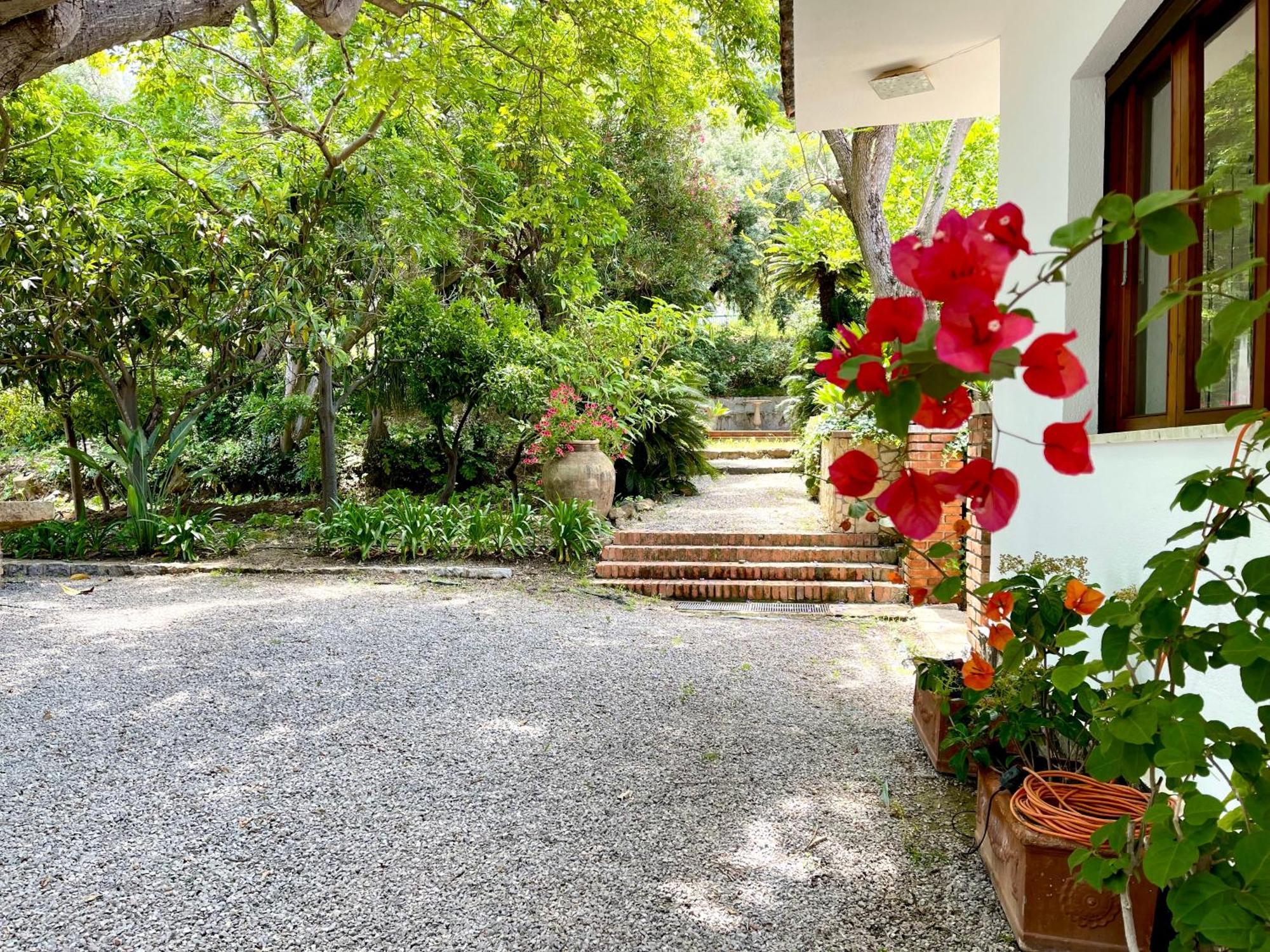 Villa Tana Pacenzia تْشيفالو المظهر الخارجي الصورة